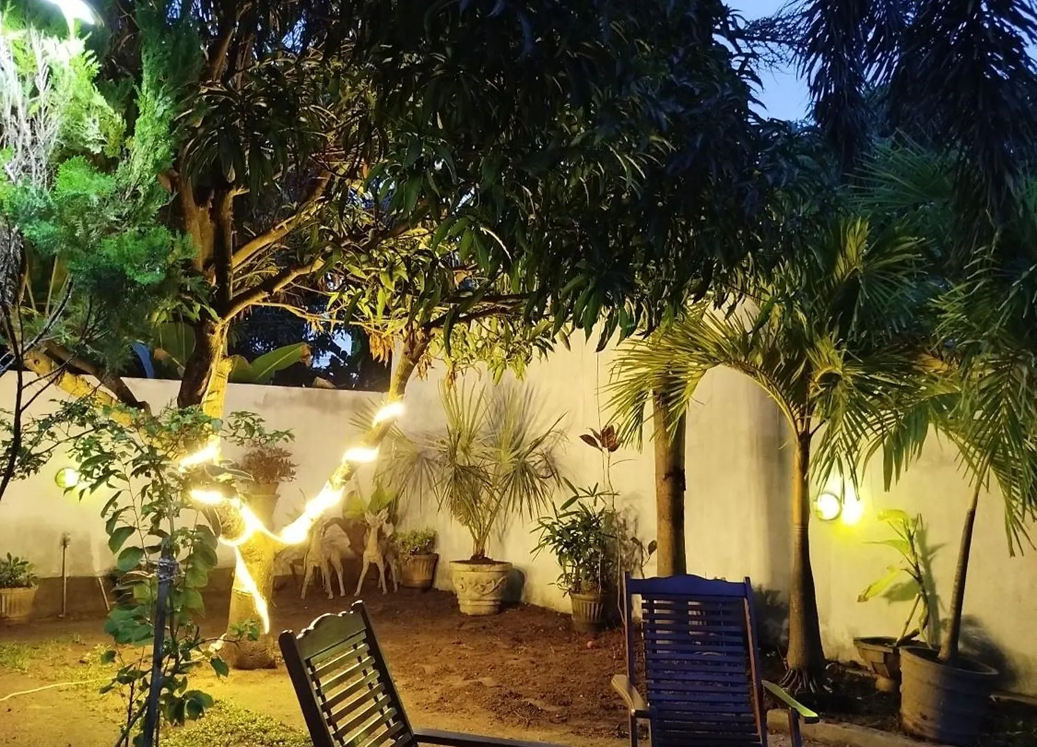 Gasthof Cosy White Palace Negombo