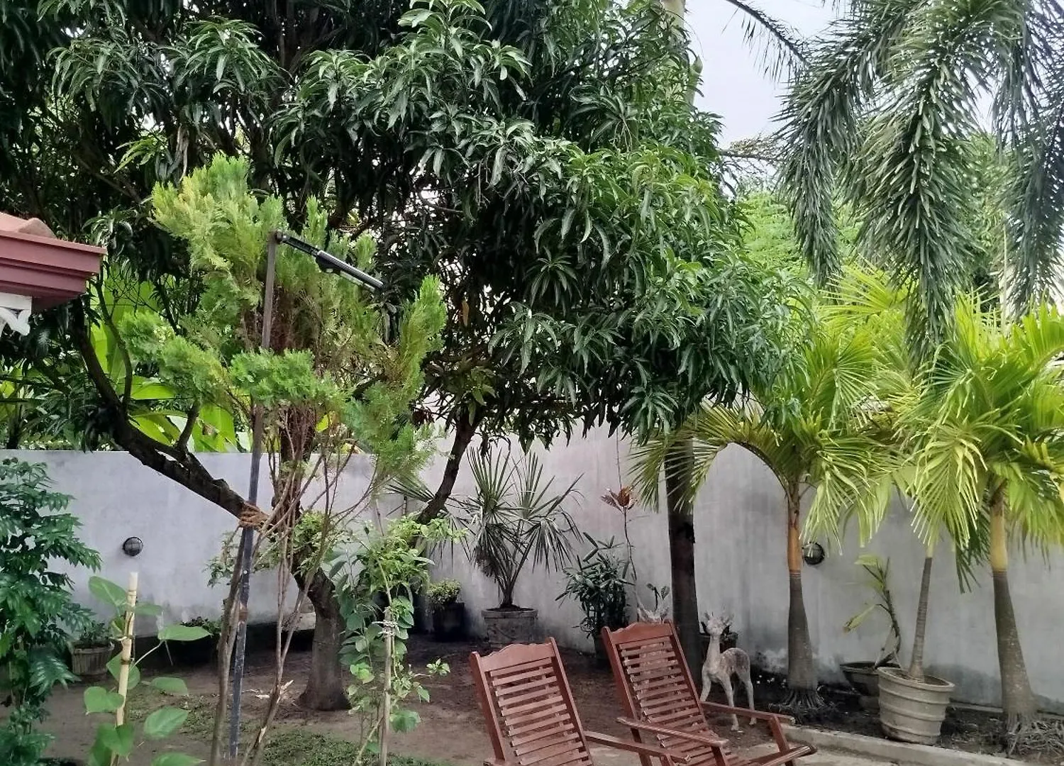 Cosy White Palace Negombo