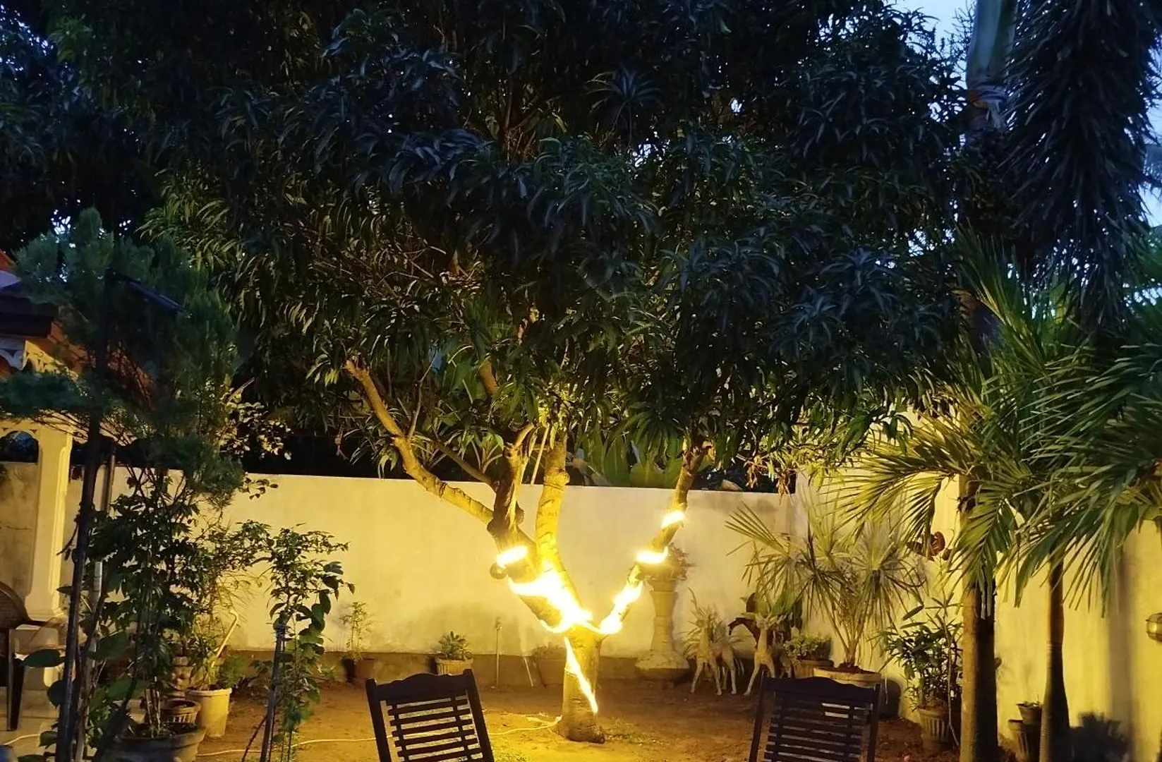 Cosy White Palace Negombo Sri Lanka
